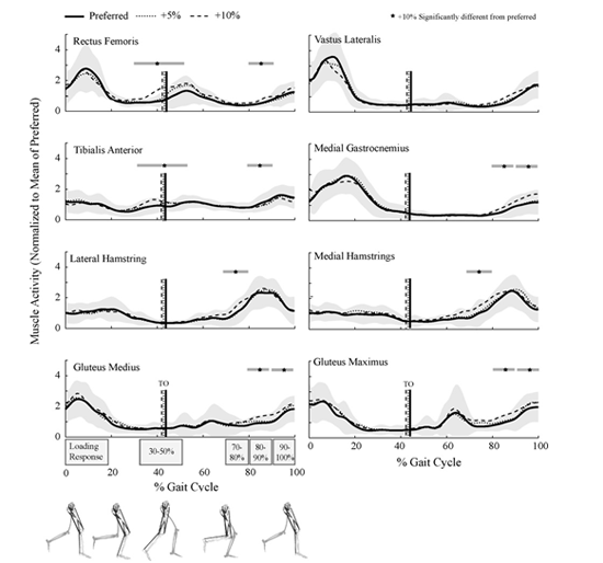 Muscle Activation - National Orthopaedic Division of the Canadian ...